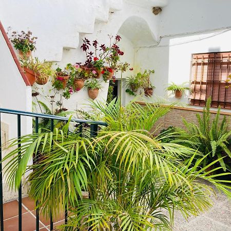Apartamento Conil Centro Кониль-де-ла-Фронтера Экстерьер фото