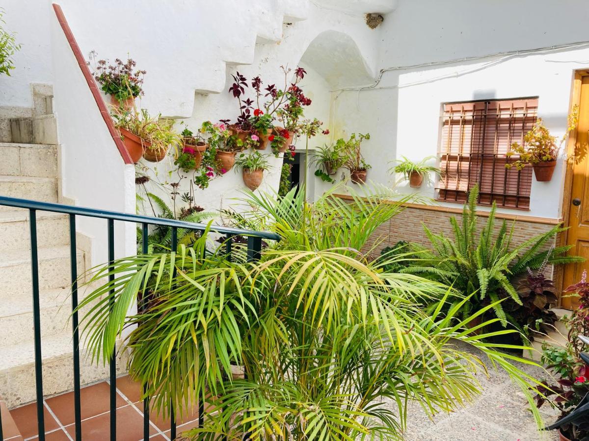 Apartamento Conil Centro Кониль-де-ла-Фронтера Экстерьер фото